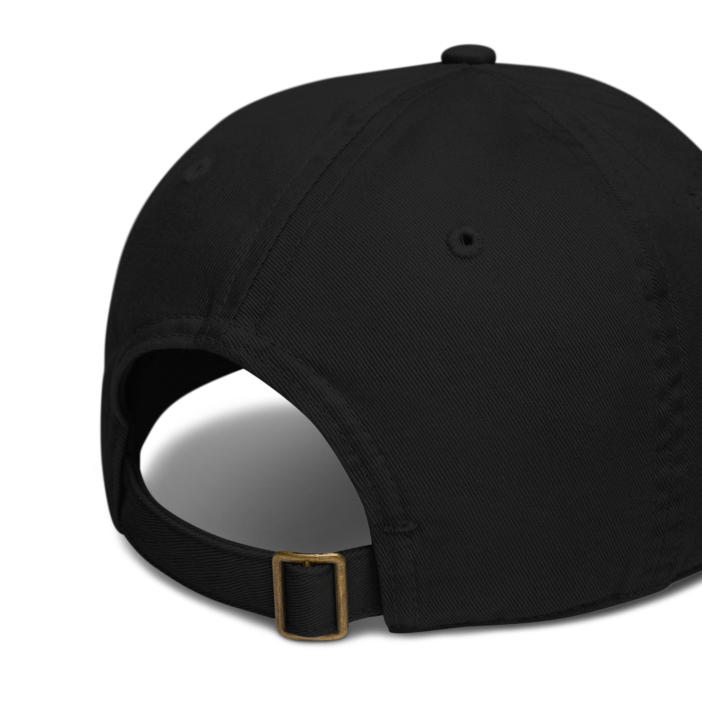 Organic Dad Hat | Small Towns Big Adventures